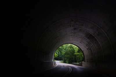 白天靠近树木的隧道